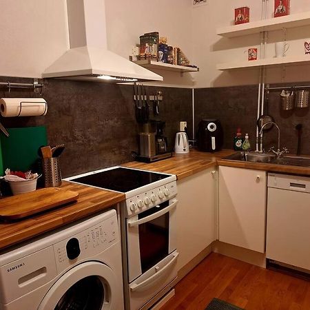 City Apartment Rovis 罗瓦涅米 外观 照片