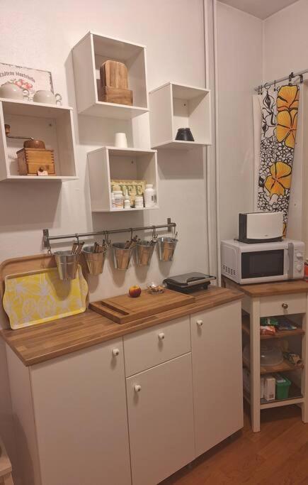 City Apartment Rovis 罗瓦涅米 外观 照片