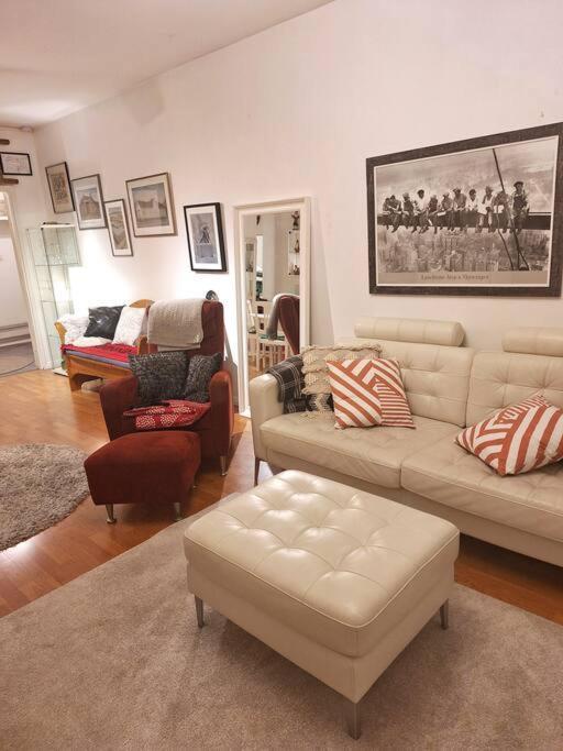 City Apartment Rovis 罗瓦涅米 外观 照片